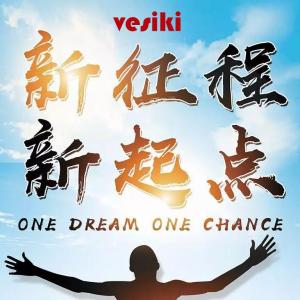 VESIKI Started in 2016